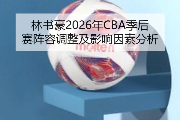 林书豪2026年CBA季后赛阵容调整及影响因素分析